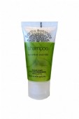 Travel Size Shampoo