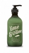 Hand & Body Lotion